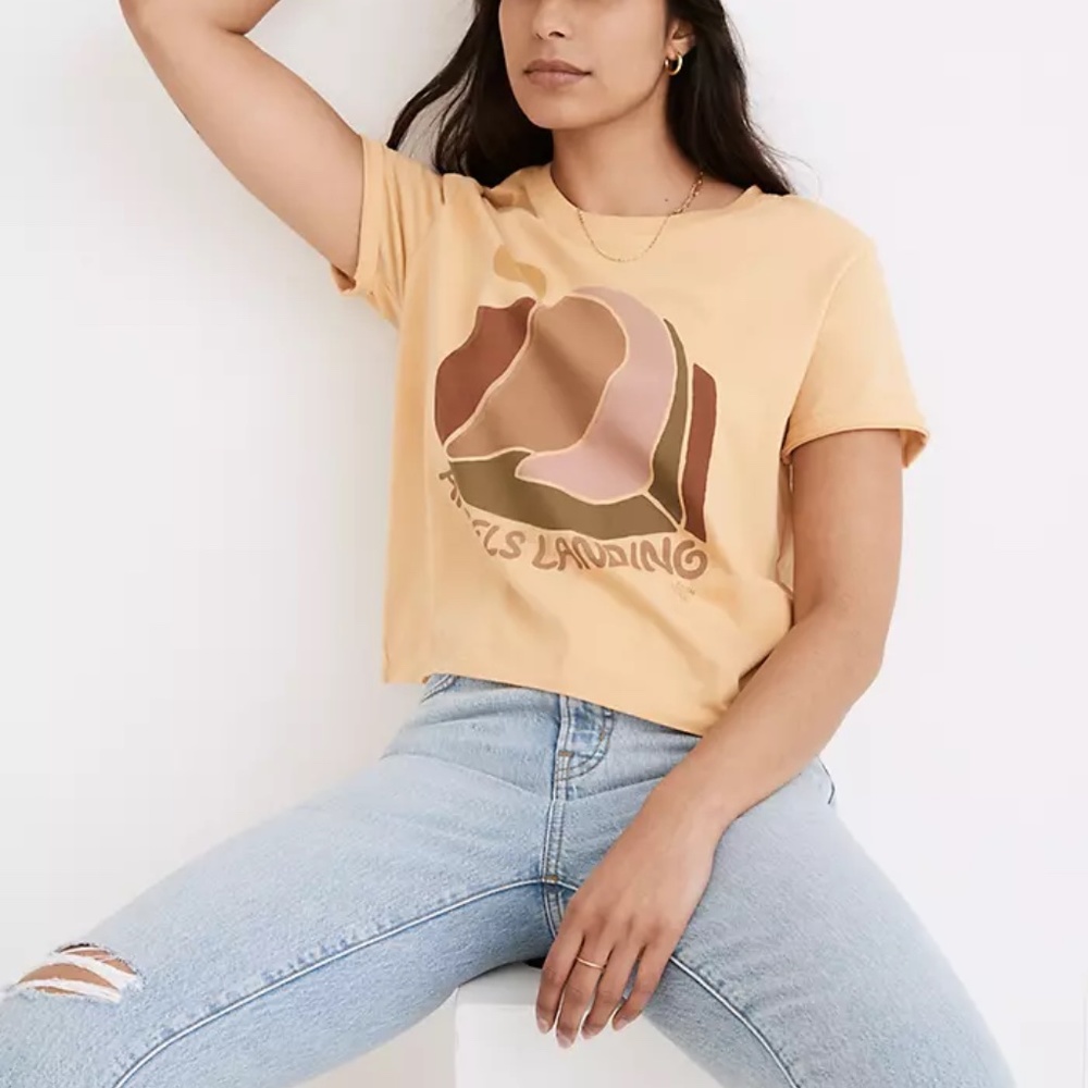Madewell x Parks Project Angel's Landing Organic Cotton Boxy Tee - Picture 5 of 6